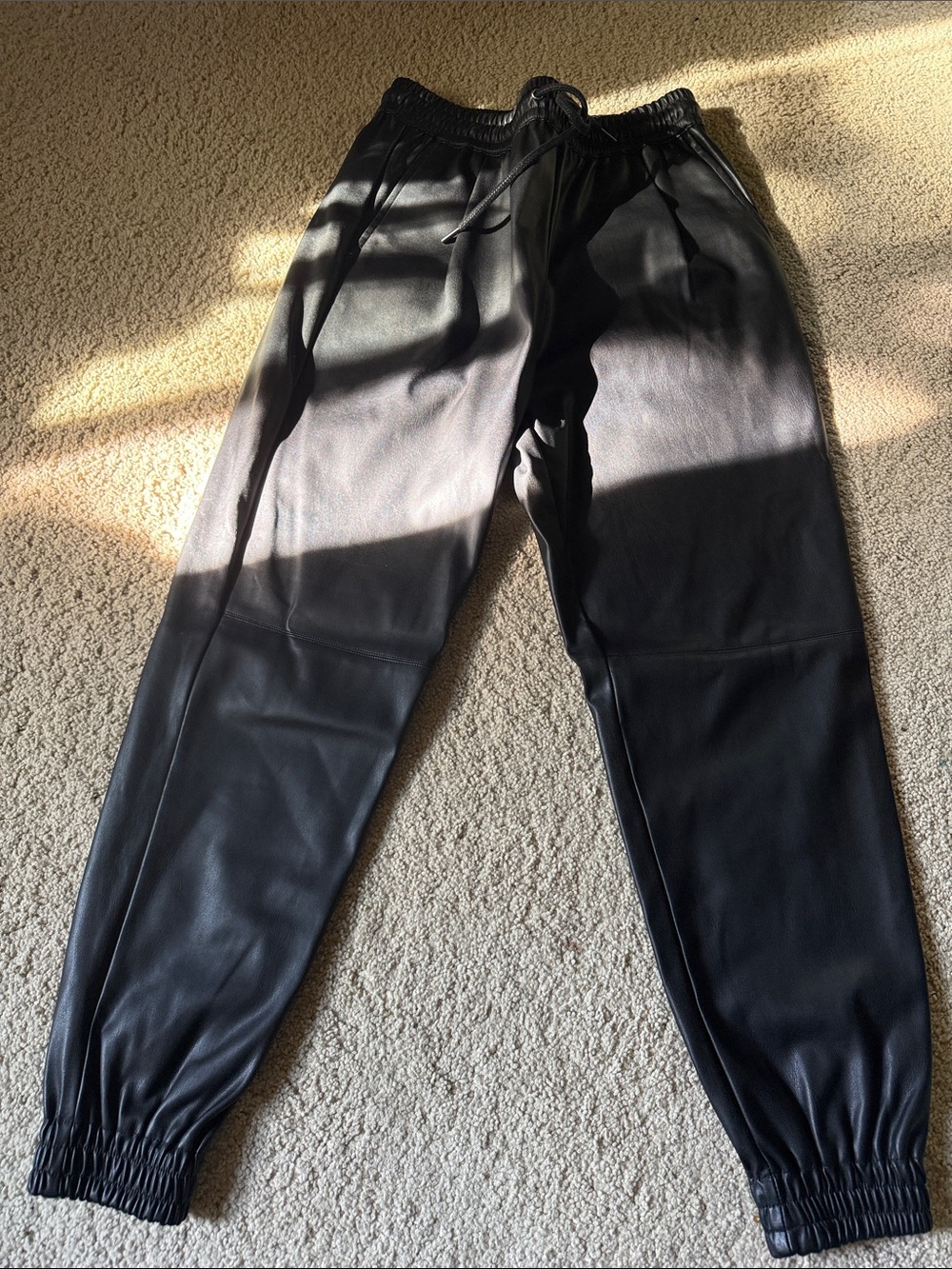Zara Black Faux Leather Elastic Waist Pants